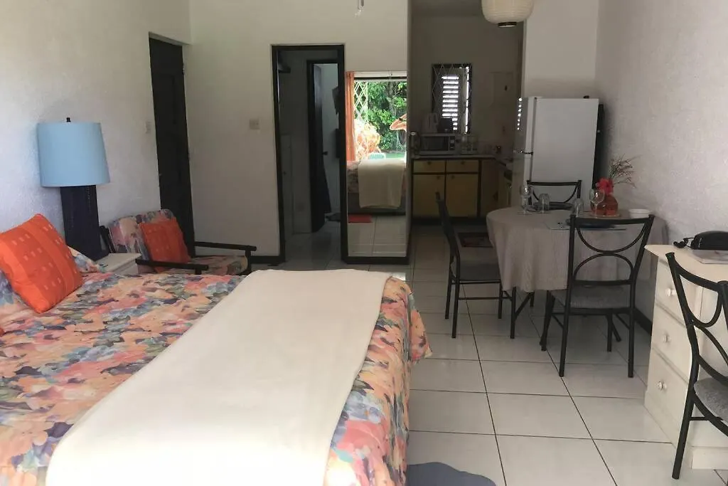Lovely Perfectly Located Studio Apartment Bridgetown